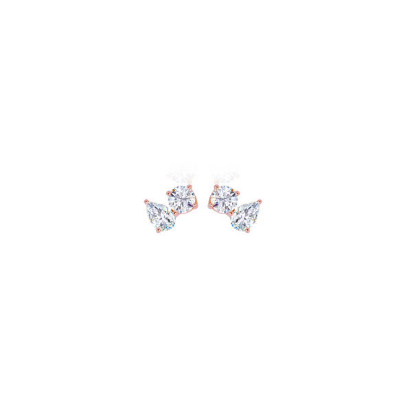 Paradoxical Love Earrings